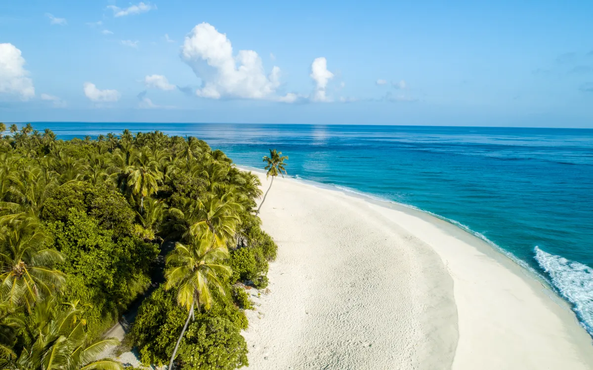 Serene beach scene showing the natural beauty we protect with our technology